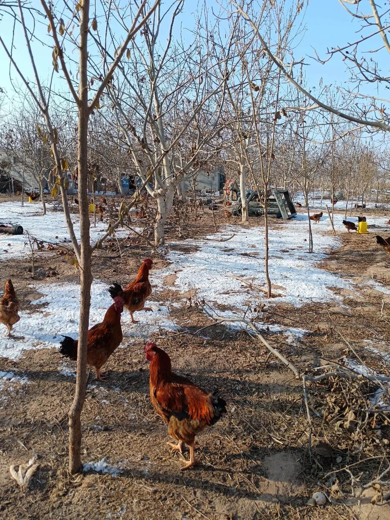 向佐郭碧婷为女儿庆生 向佐郭碧婷为女儿庆生