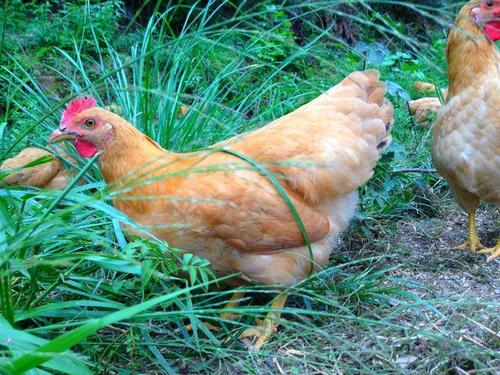 ������ǩ45ǩ��ǩ��̫������ƽ����������(������ǩ45ǩ��ǩ��̫��������������ʧ��)