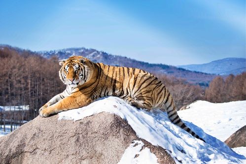 ��ʹ���Ҹ� ��ʹ���Ҹ���Ա��