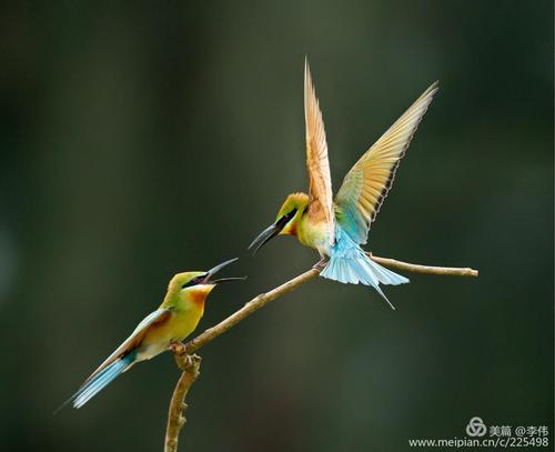 ���Ұ˴��ˮ����