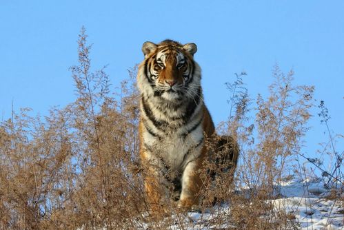 ��_�����ܷ���Ч��������֮������ζȺͻ������ִ�����Ӱ��(��_���ֿ��������ζ��е����ֻ��ⷽ����Ч)