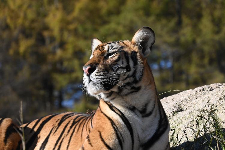 ��ˮ������ӽ� ����������۹⿴����ˮ������֮����