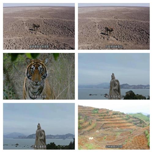 八字配对真的有用吗 恋人八字配对背后的玄机 八字配对真的有用吗 恋人八字配对背后的玄机