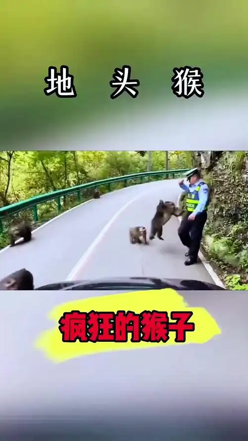关帝灵签吉凶_存款堪忧吗(关帝灵签吉凶_存款状况令人吗) 关帝灵签吉凶_存款堪忧吗(关帝灵签吉凶_存款状况令人吗)