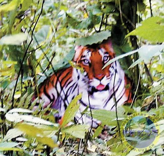 ������332���罻�����е�ʹ�ð��ط��պ�����(������332���罻����ʹ���ϻ�Ӱ���˼ʹ�ϵ���ȶ���)