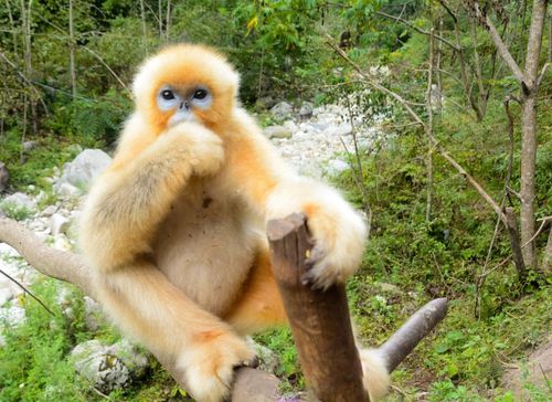 ���ְ����������ϼ��