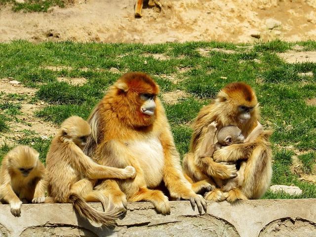 �����ʮ����ǩ_���ݸù滮����(���ݹ滮�ʺ������ʮ����ǩָ���ĵ�·)