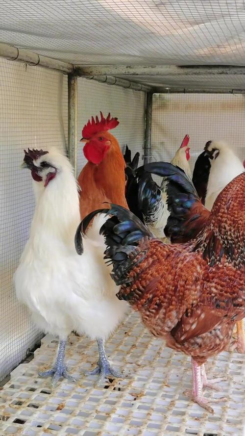 居住地下室风水要注意那些禁忌 居住地下室风水要注意那些禁忌