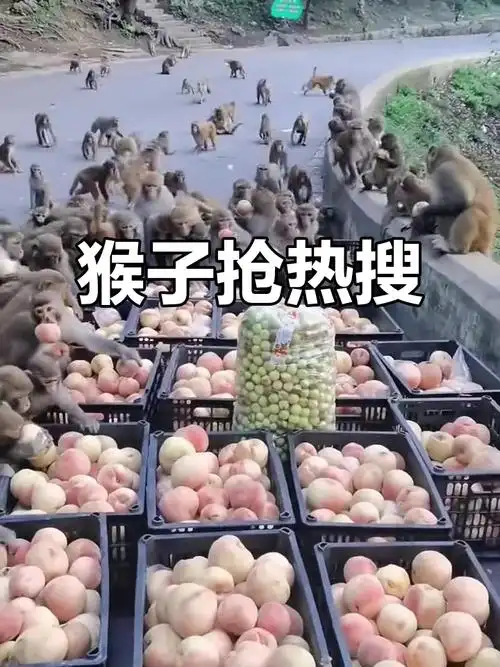 ��Ф������Ф���Ļ���ָ���Ը����������򼰻�������ο�