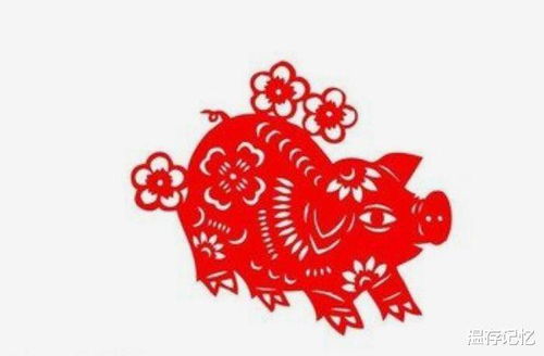 ������������к����� һ̽��Բ�ѯ�̳̱��������