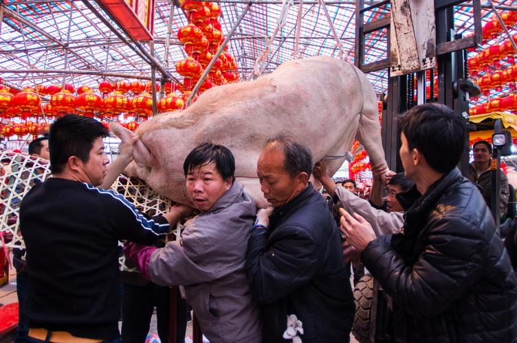 ��ƽ��׳�������ﱳ�� ��Ϊ��֪�Ĵ�������ذ�����