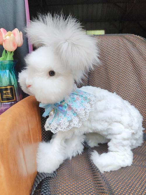 观音灵签马超离职签科普_配偶长相(观音灵签马超_配偶长相会否如意) 观音灵签马超离职签科普_配偶长相(观音灵签马超_配偶长相会否如意)