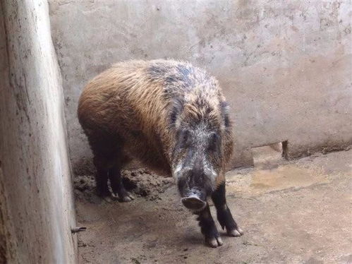 ��ˮ�����ر����ѵ�ȫ�顷���߽��ؼ����б������