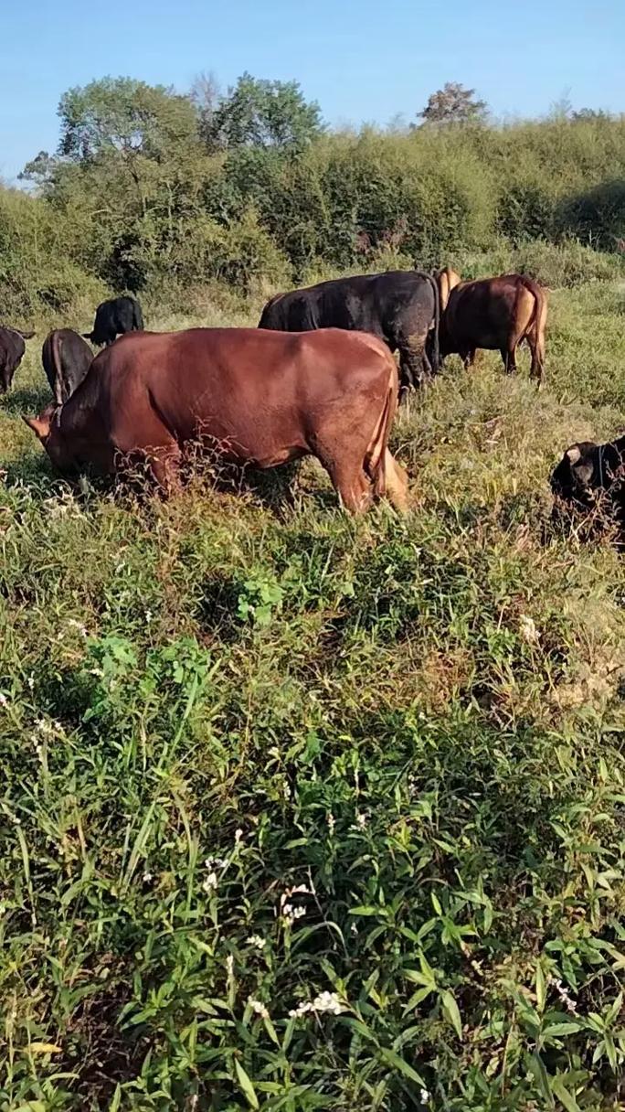 诸葛神算测字算命我郝能否指引人生转机(诸葛神算测字算命我郝能预示未来走向不明的隐患) 诸葛神算测字算命我郝能否指引人生转机(诸葛神算测字算命我郝能预示未来走向不明的隐患)