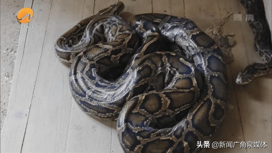 ��������Ե���� ��������Ե�����