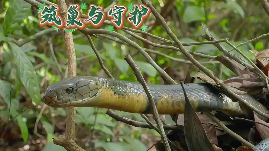 ��˾����������Ļ�Ӱ����ҵĿ����(��˾�����������ܴ�����ҵĿ�����ٵ�����)