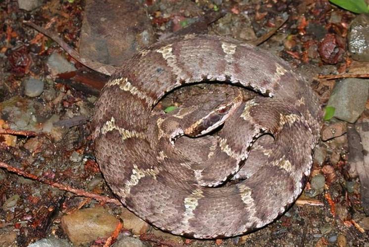 男女结婚吉日测算 结婚吉日在线测算 男女结婚吉日测算 结婚吉日在线测算