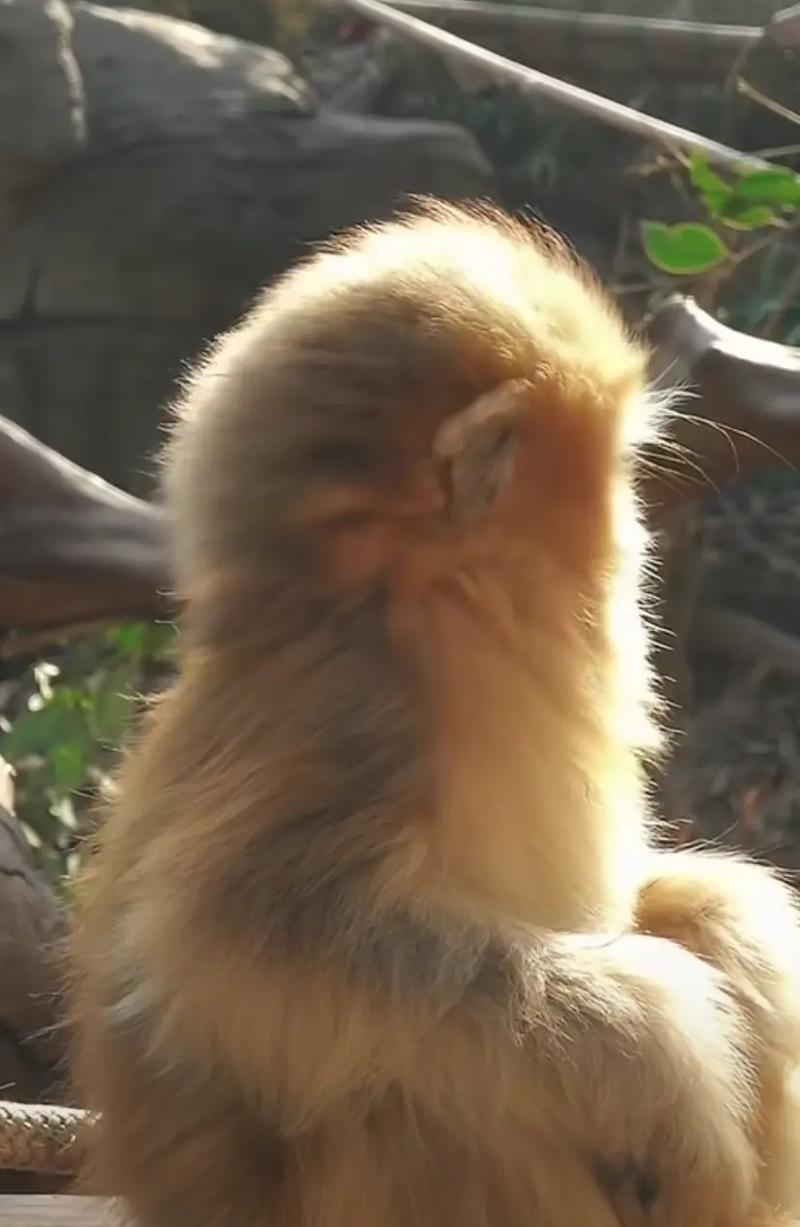 韩国蔡琳主演的电视剧 韩国蔡琳主演的电视剧