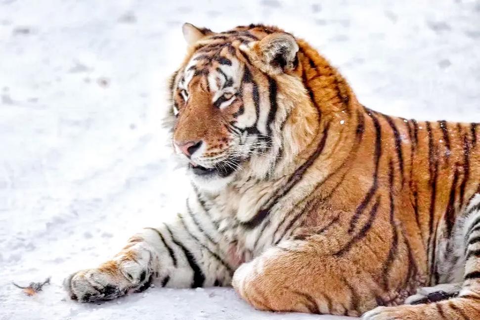 �����Ů���� ��·������ǩ�ڶ�ʮ��ǩ(��·������ǩ�ڶ�ʮ��ǩ�����Ů������������Щ������)