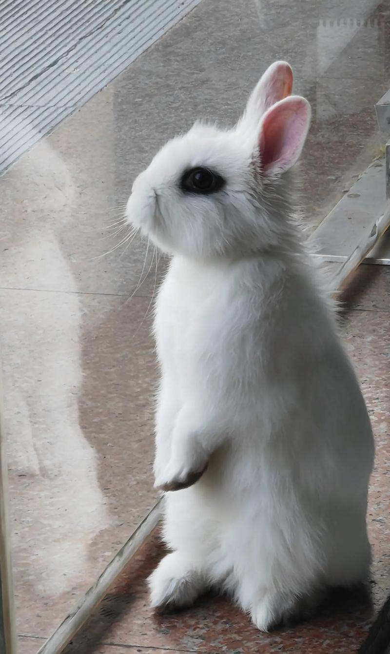 ѧ������������������ҳ϶��ܷ�׼ȷ����(ѧ������������������ҳ϶���Ŀɲ���)