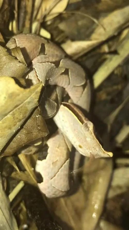 ���⹫˾������ȫ��˾������ȫ����Ͷ��ʧ��������(��˾������ȫ��˾������ȫΪͶ��ʧ����������)