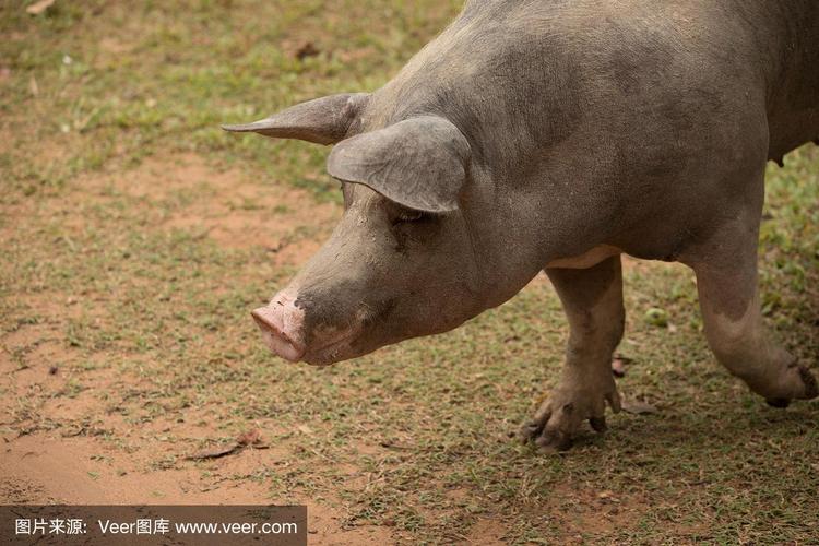 淮南卫校吧_安徽省淮南卫校怎么样 淮南卫校吧_安徽省淮南卫校怎么样