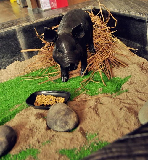 ������͵������Ĺ�ϵ