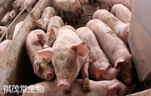 ٪�޼ͽ��� ٪�޼ͽ��� ����