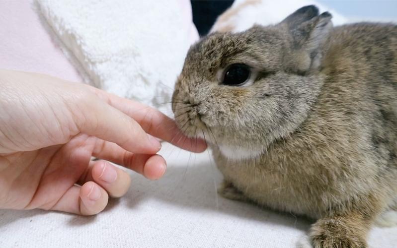 �칫�������ڷ�ָ�� �����칫�ҷ�ˮС���ɣ����� �칫��ֲ��ڷ� �����칫�ҷ�ˮ���ӽ�