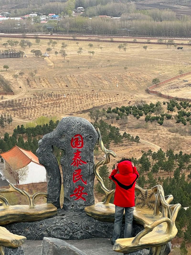 ר���������Ӱ���ͥ�����뾭��״���ļ�������(ר����������ܸ��Ƽ�ͥ����;���״��������)