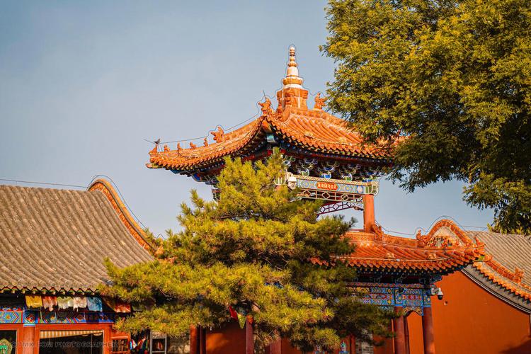 ����������Ķ���������������Է��ϵ�������Щ�Ի�Ͳ�������ܰ�������������Լ�������