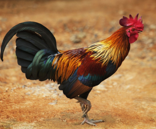 同名同姓身份通让情感被忽视(同名同姓身份通让感情被忽视) 同名同姓身份通让情感被忽视(同名同姓身份通让感情被忽视)