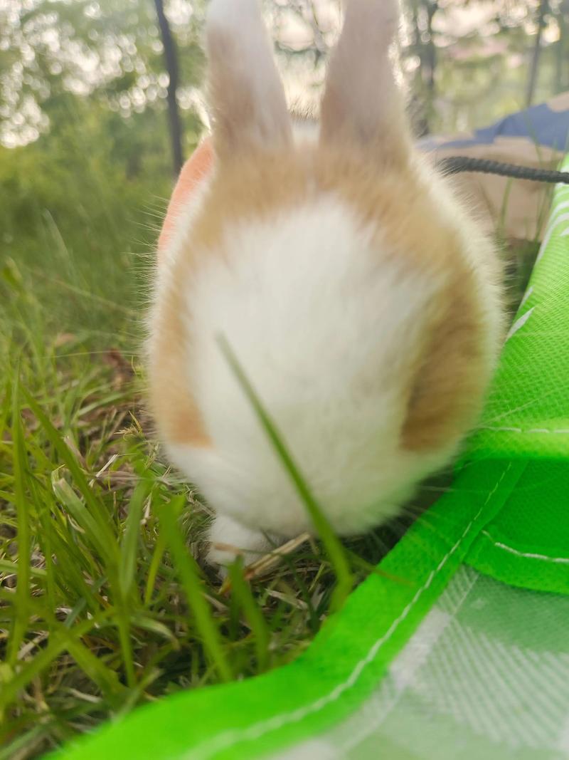 Сʱ��Ӱ��_Сʱ��Ӱ��