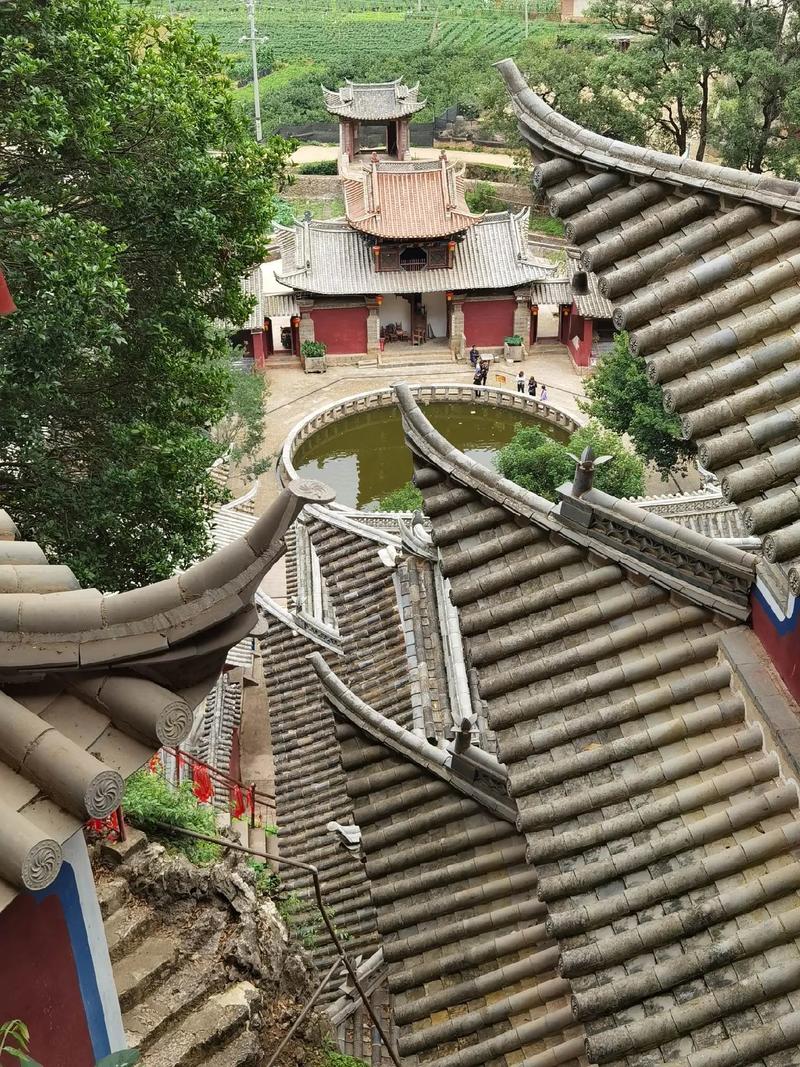 �ż����¾� �ż����¾绶�ּҳ�Ⱥ