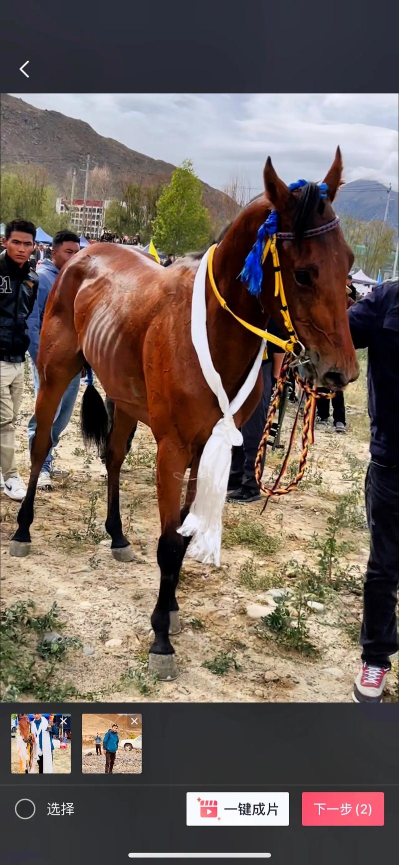 ��ս����¼ ��ս����¼ȫ���ۿ�