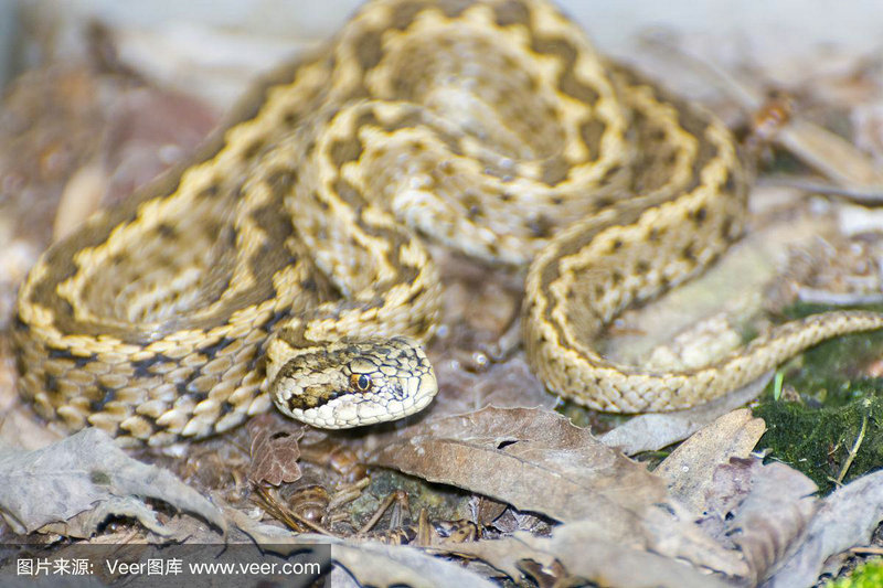 �͵��к����� �ܵ͵�������