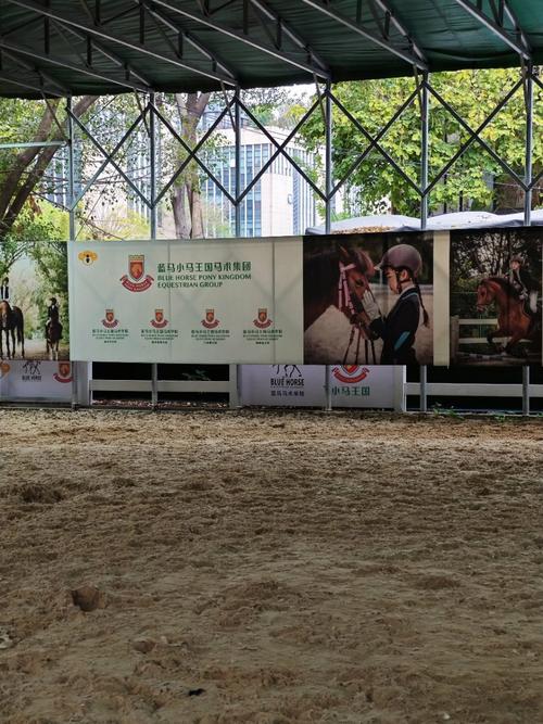 2026������ȡ���ִ�ȫ ���걦��ȡ��С����