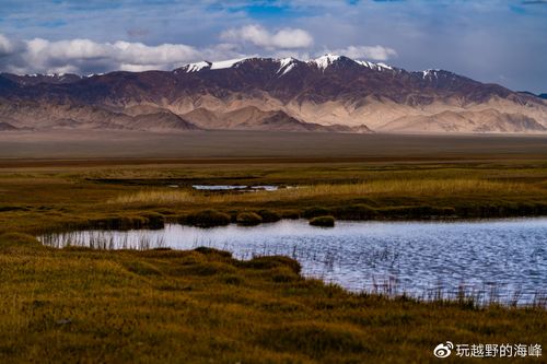 如何取一个霸气又独特的电脑名字 如何取一个霸气又独特的电脑名字