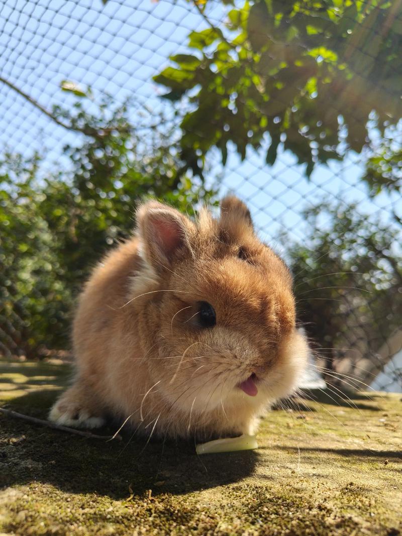 Զ����ɽ�����ͯ���Զ����ɽ�������