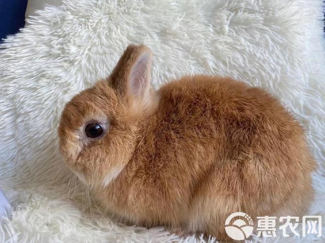 �й�ʽ����_�й�ʽ��������