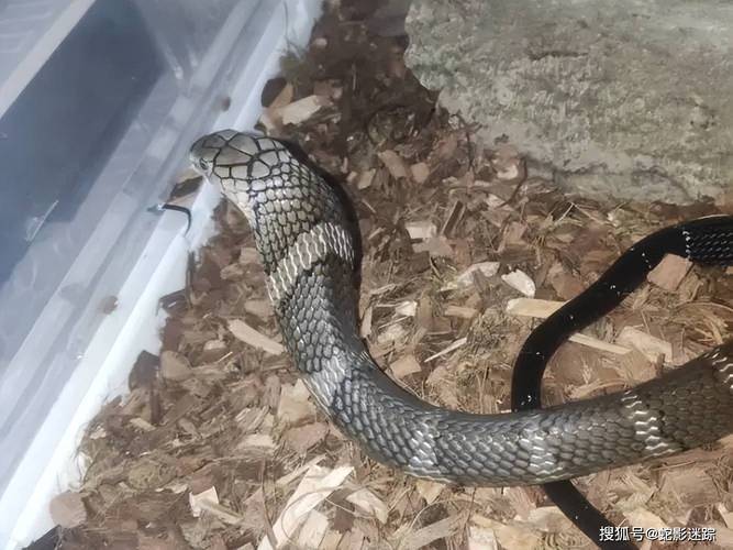 12��������Ե�������ĺ�׼