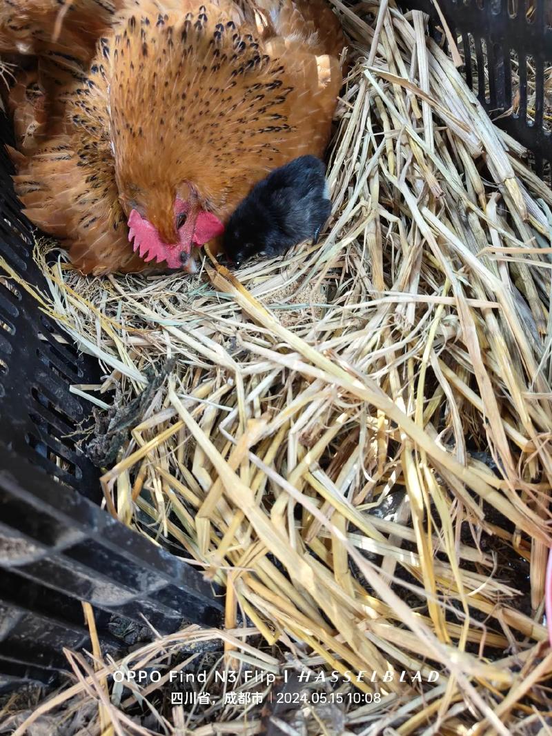 北京首创集团 北京首创集团简介 北京首创集团 北京首创集团简介