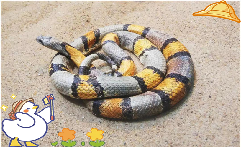 ���������к�ȡ��