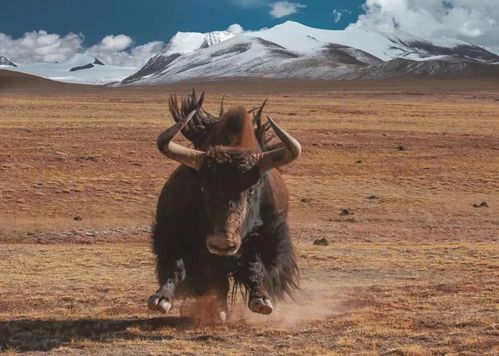 尹能静老公 尹能静对象是谁 尹能静老公 尹能静对象是谁