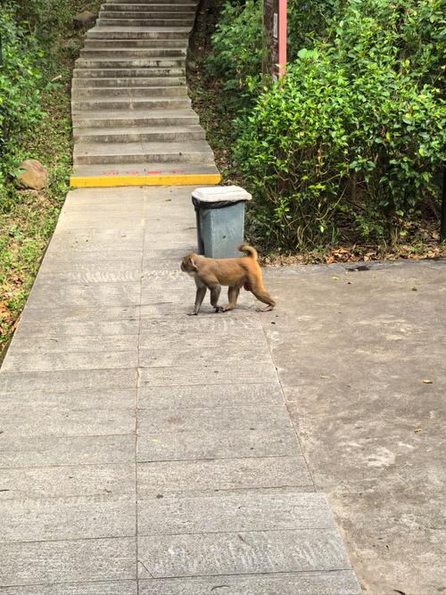 沉珂的博客 沉珂专访 沉珂的博客 沉珂专访
