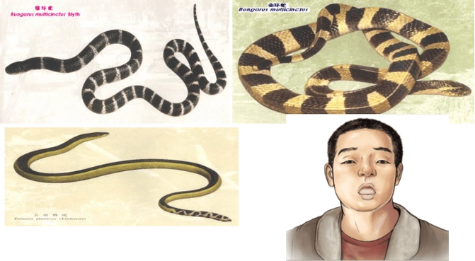 陈美琪婚姻 陈美琪婚姻幸福 陈美琪婚姻 陈美琪婚姻幸福