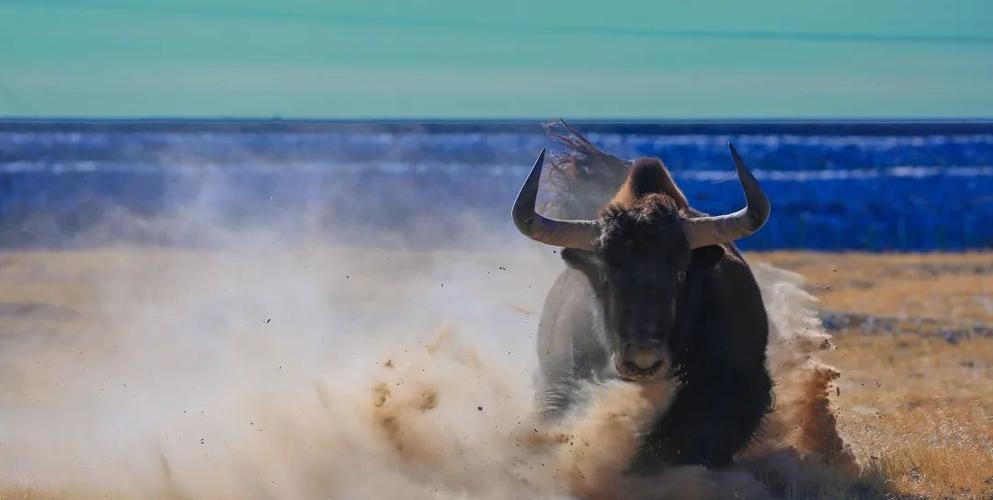 搞笑的网名笑死人 搞笑的网名笑死人