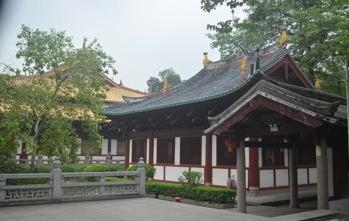 哪些生肖相信算命的人呢与伴侣养宠物的命理影响是什么(哪些生肖相信算命的人呢伴侣养宠物影响运势) 哪些生肖相信算命的人呢与伴侣养宠物的命理影响是什么(哪些生肖相信算命的人呢伴侣养宠物影响运势)