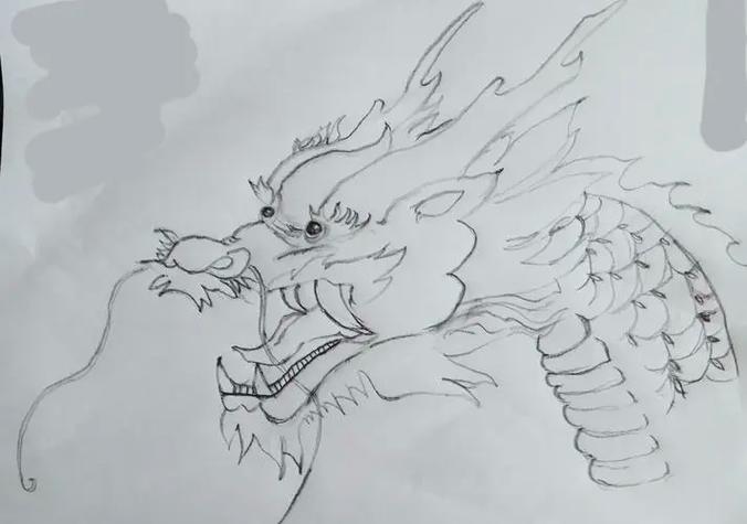 �����к�������߷����ֶԶ�����Ѻ�̬��(�����к�������߷ָÿ��Ƕ�������Ӱ��)