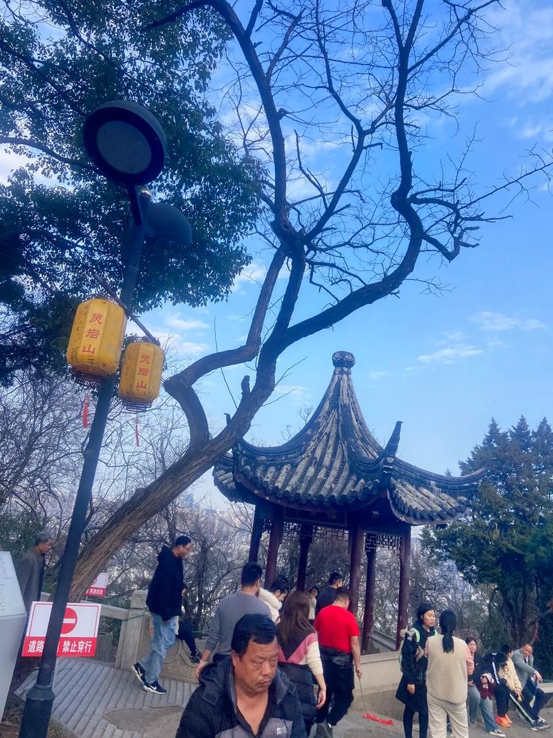 ��Ա�ƾ�������������